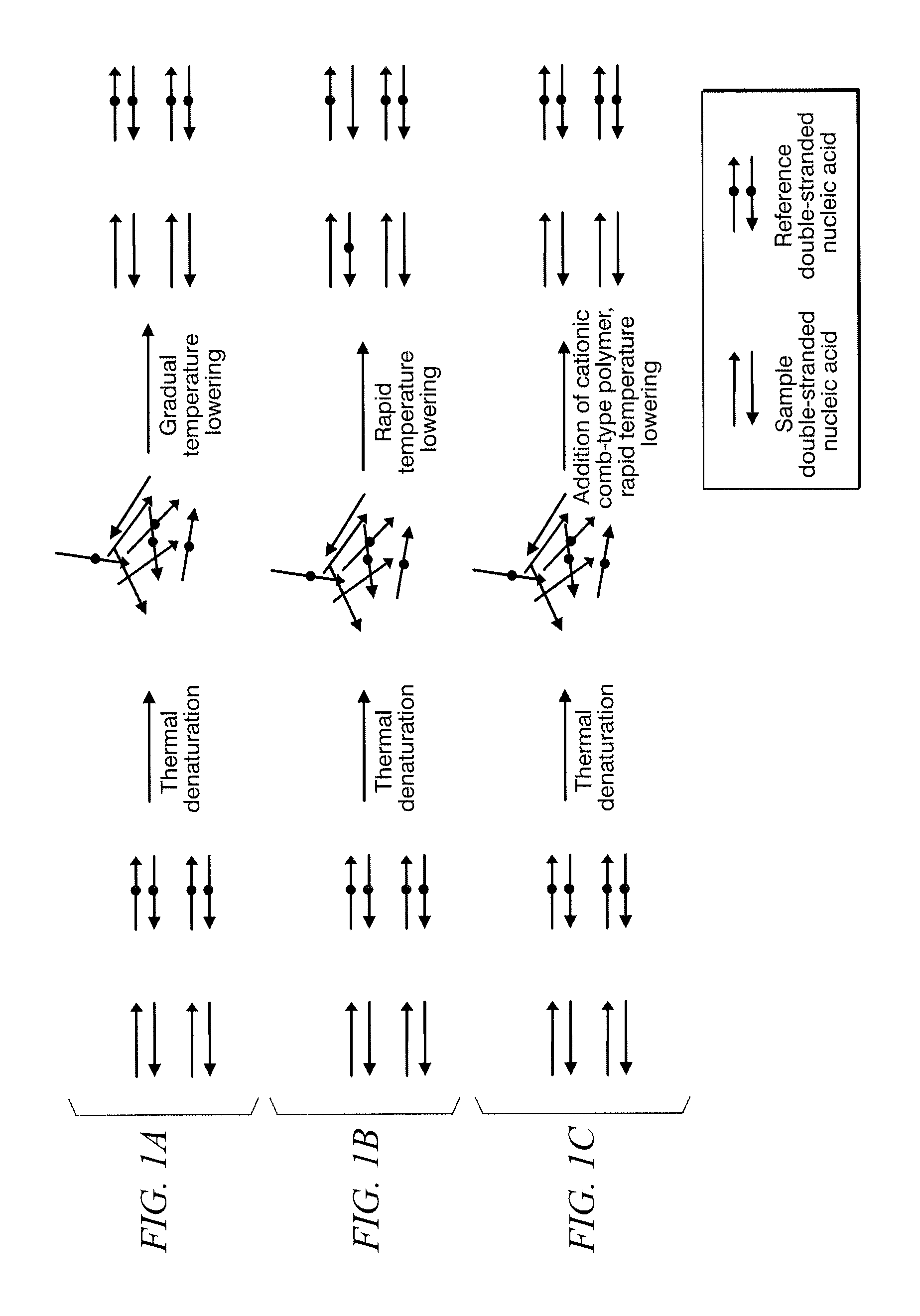 Method for identifying target base sequence