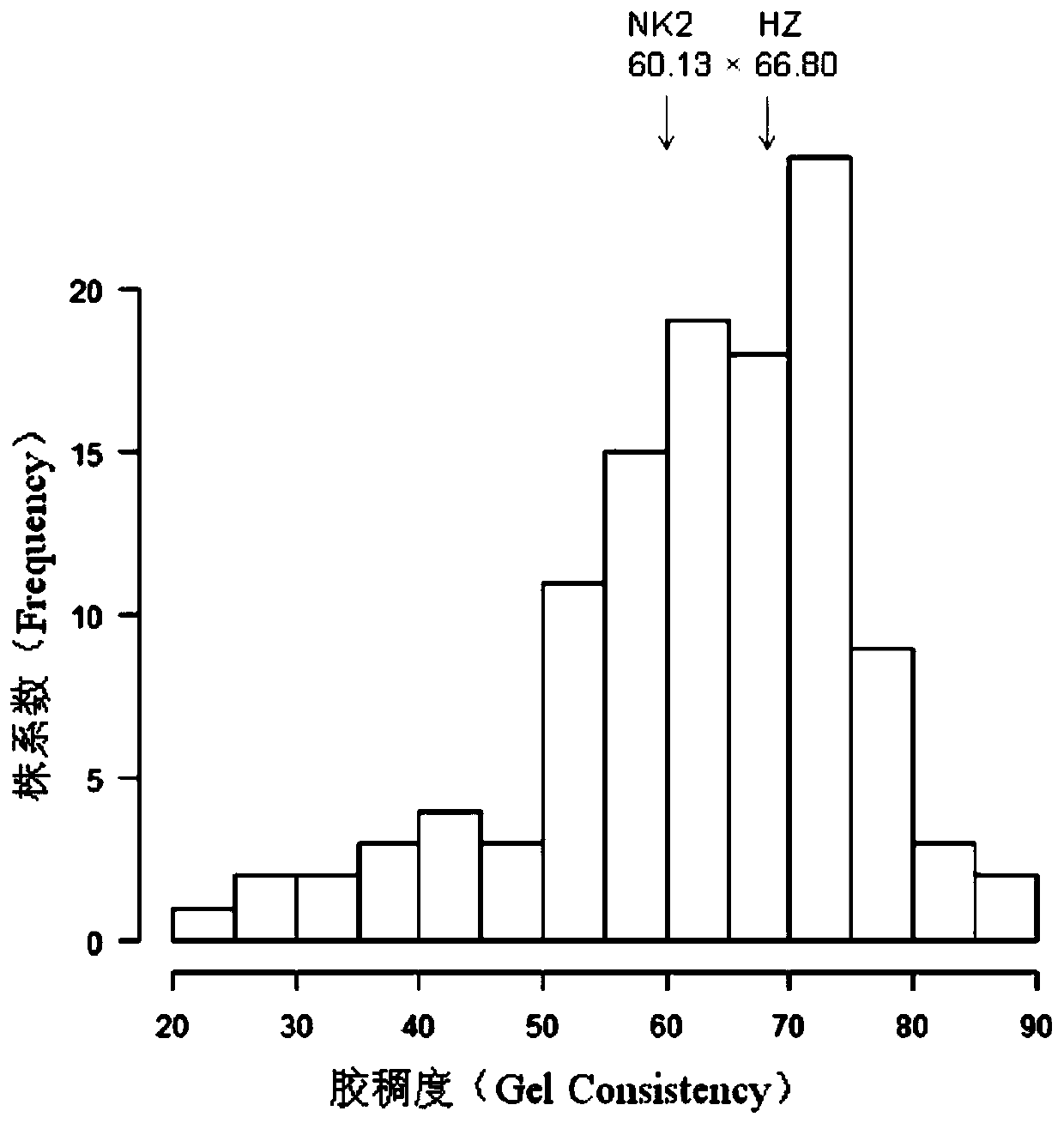 Multiple-effect QTL related to regulation and control of rice amylose content and gel consistency, molecular markers and application