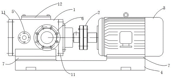 Screw pump for pitch conveying