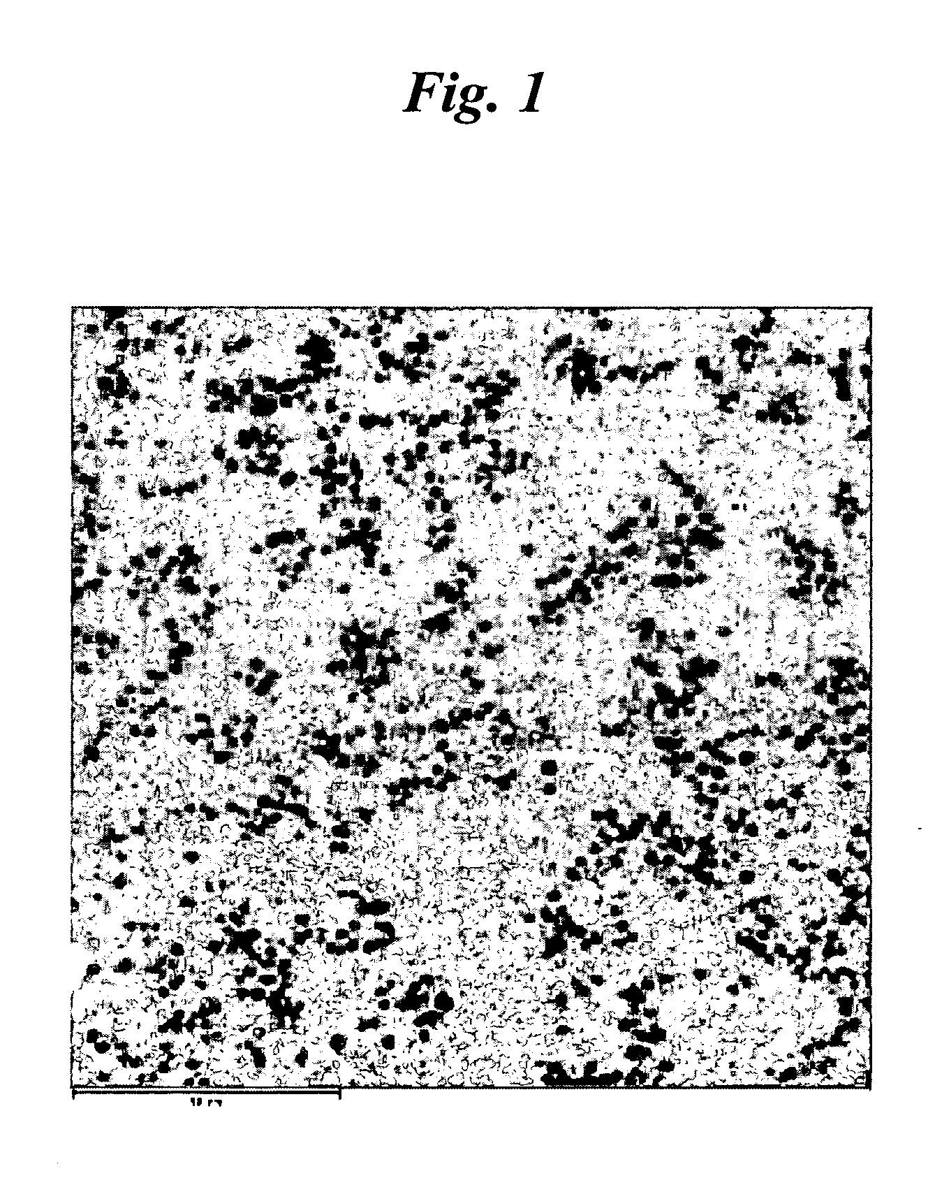 Thermoplastic nanocomposite resin composite materials