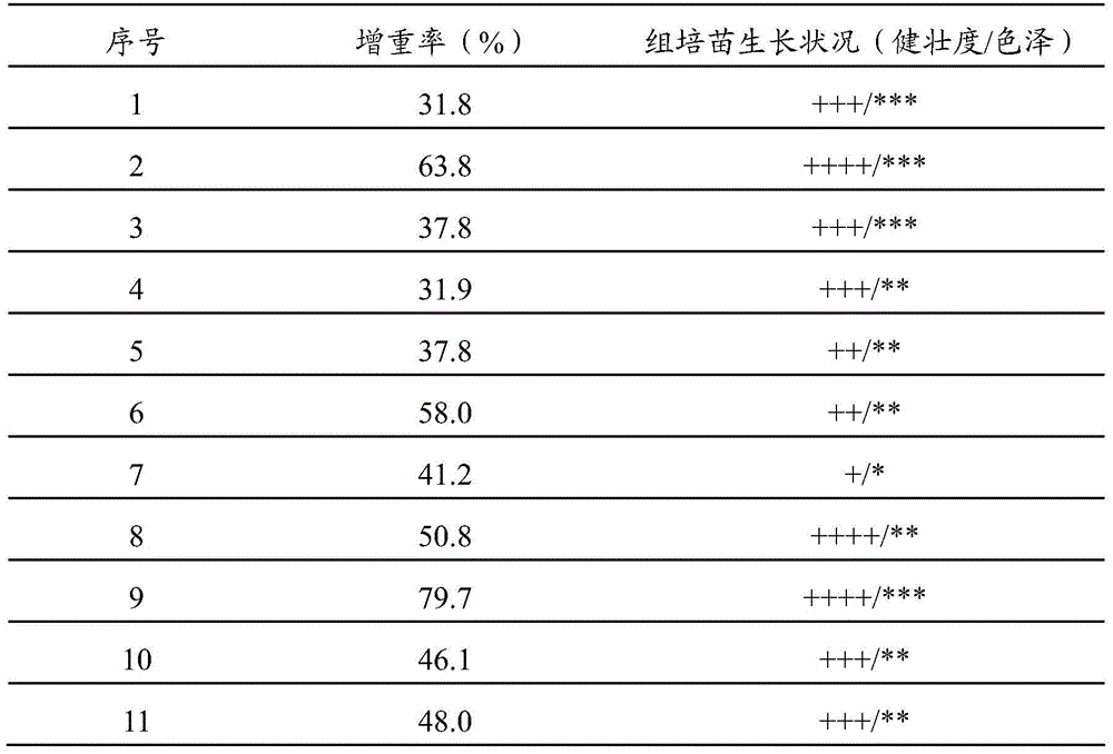 A kind of cultivation method of air pineapple tissue culture seedling