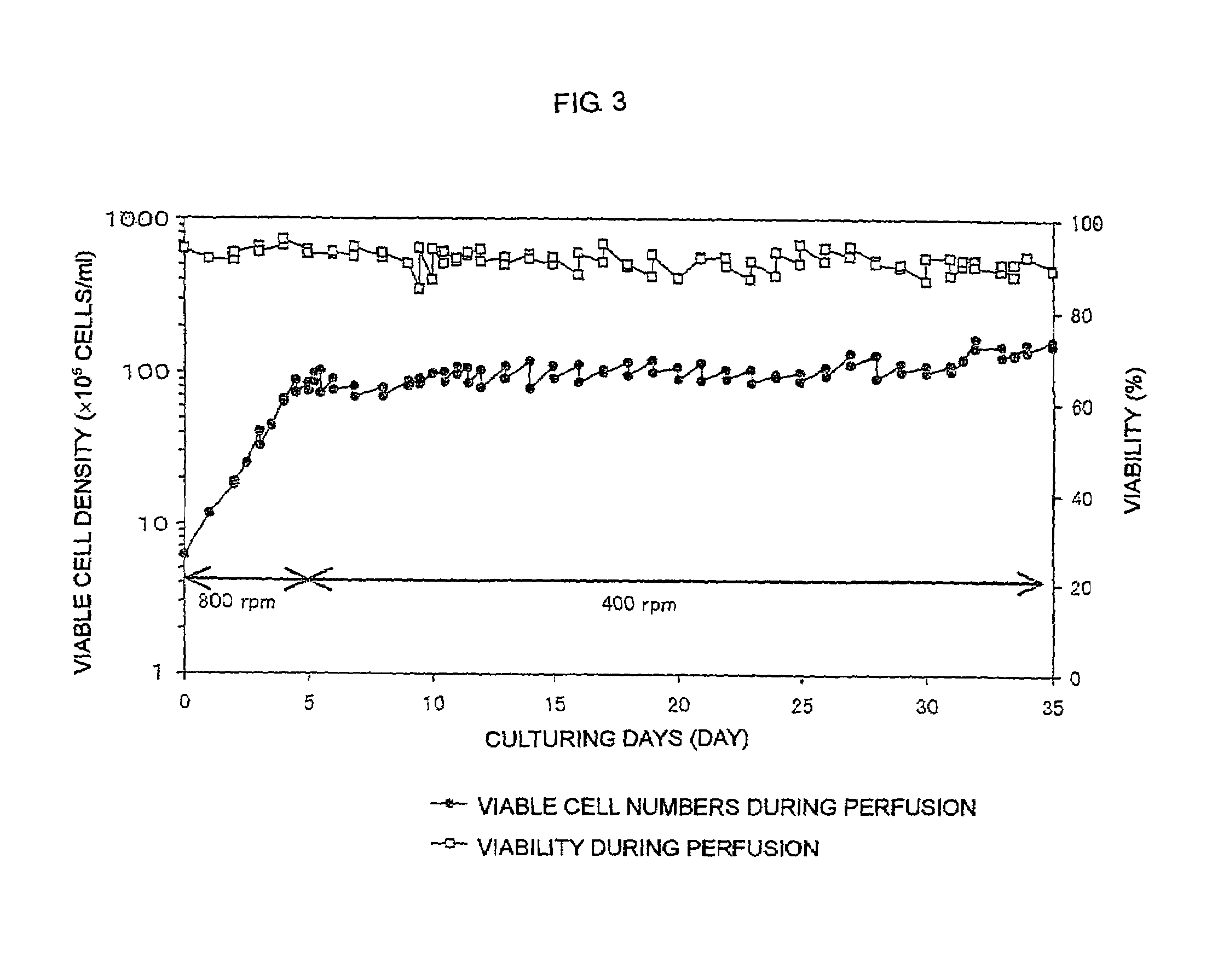 Process for producing polypeptide