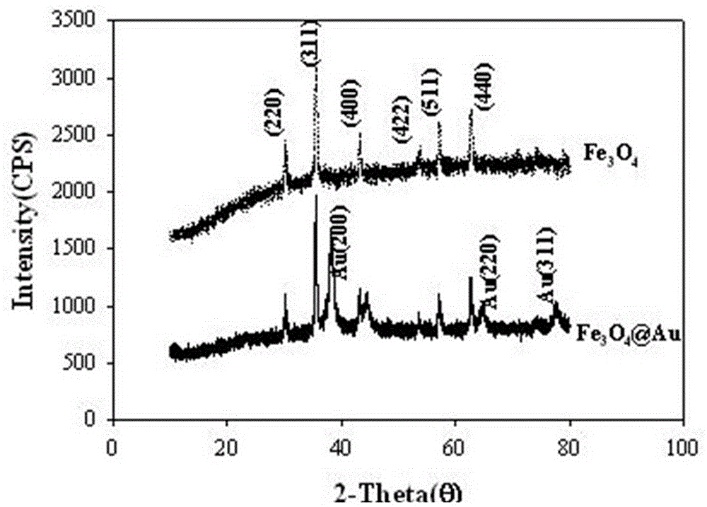 Method for electrochemical detection of human immune globulin E (hIgE)on the basis of magnetic Fe3O4 @ Au nano composite material