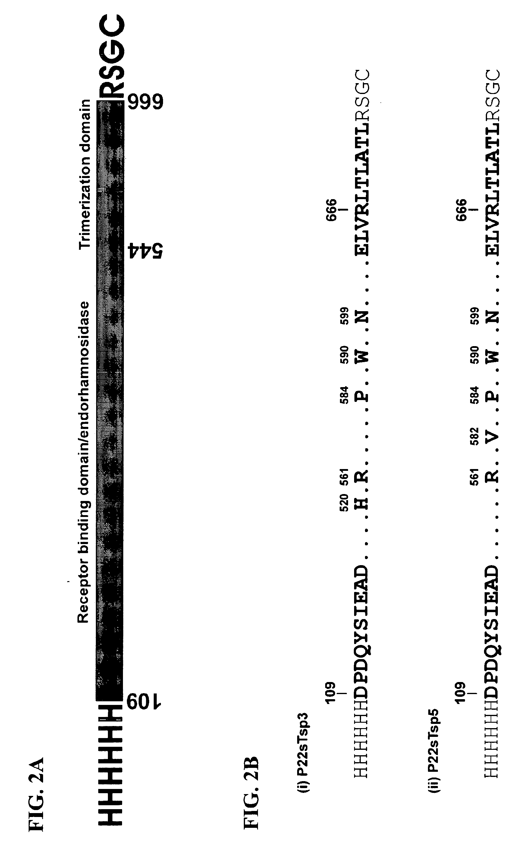 Phage receptor binding proteins for antibacterial therapy and other novel uses