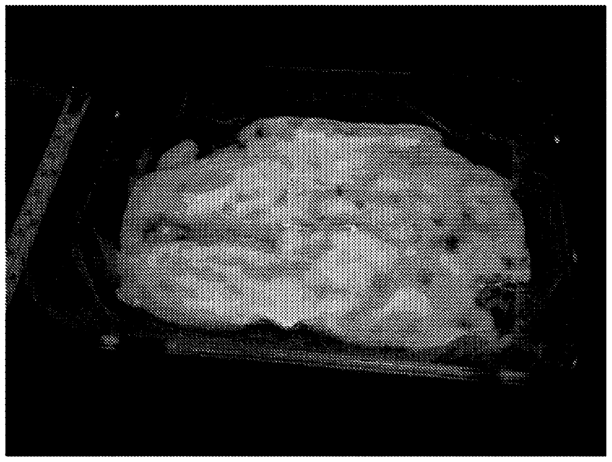 Edible composition with filamentous fungi and bioreactor system for the cultivation thereof