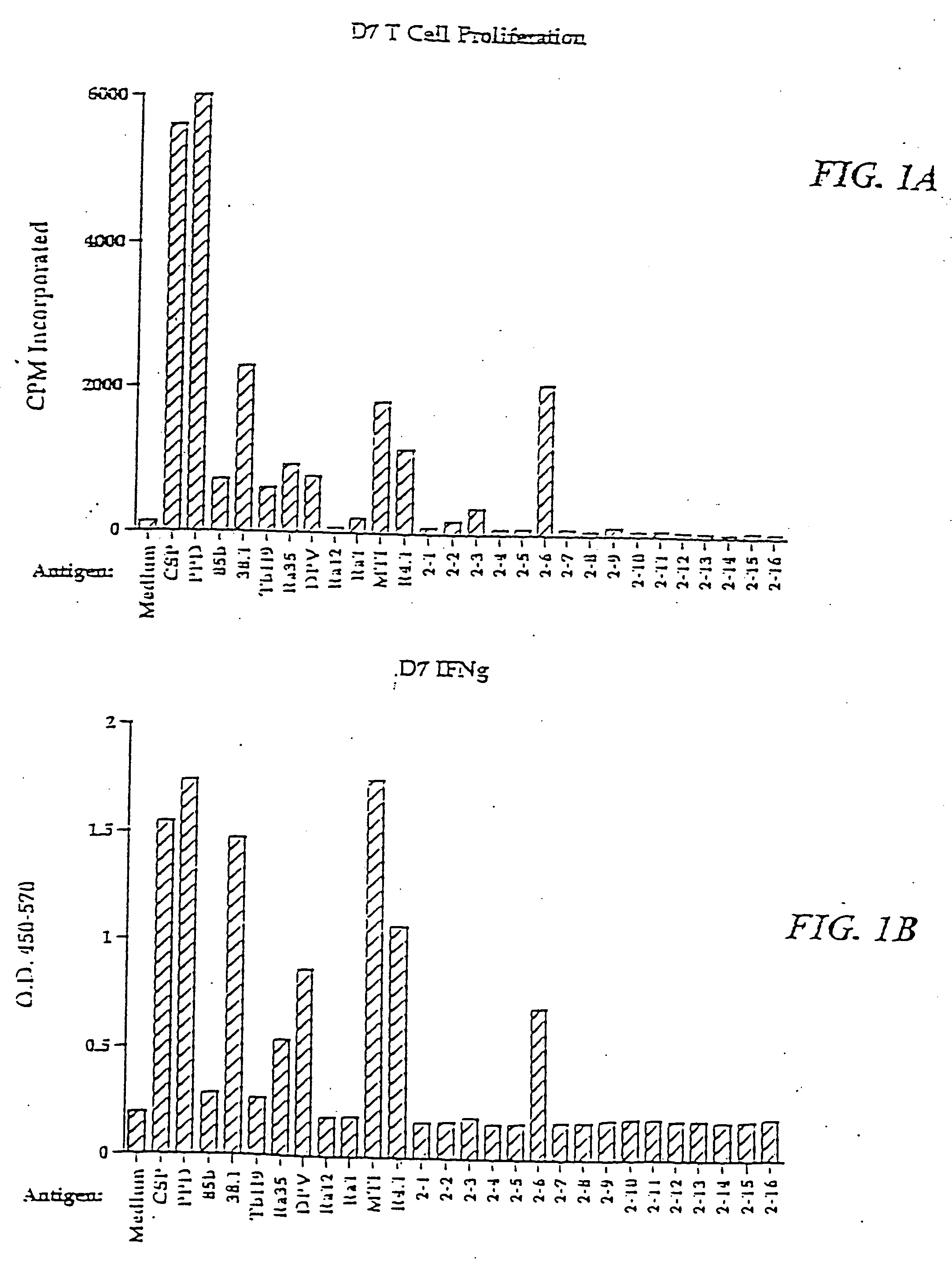 Compounds and methods for diagnosis and immunotherapy of tuberculosis