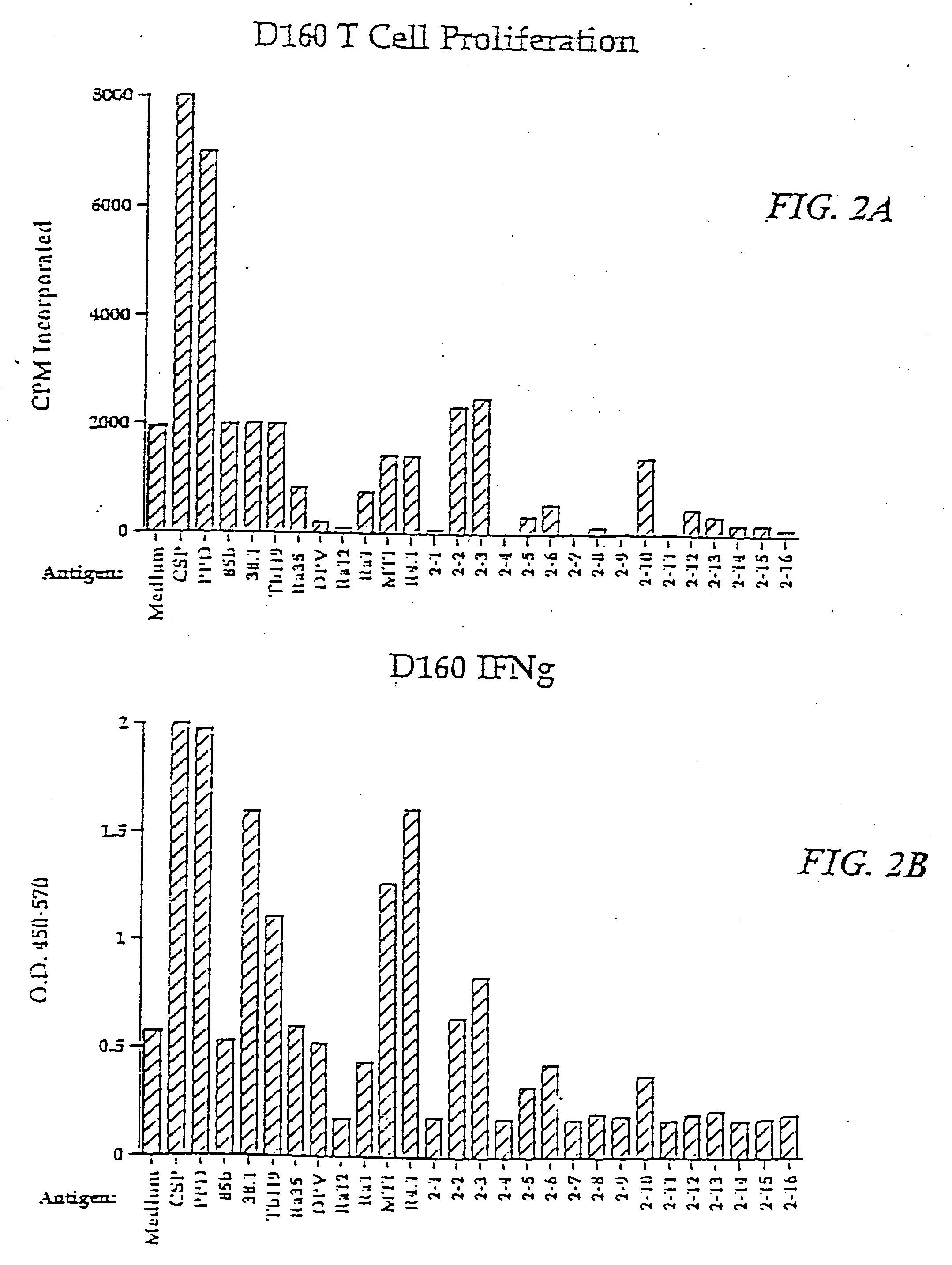 Compounds and methods for diagnosis and immunotherapy of tuberculosis