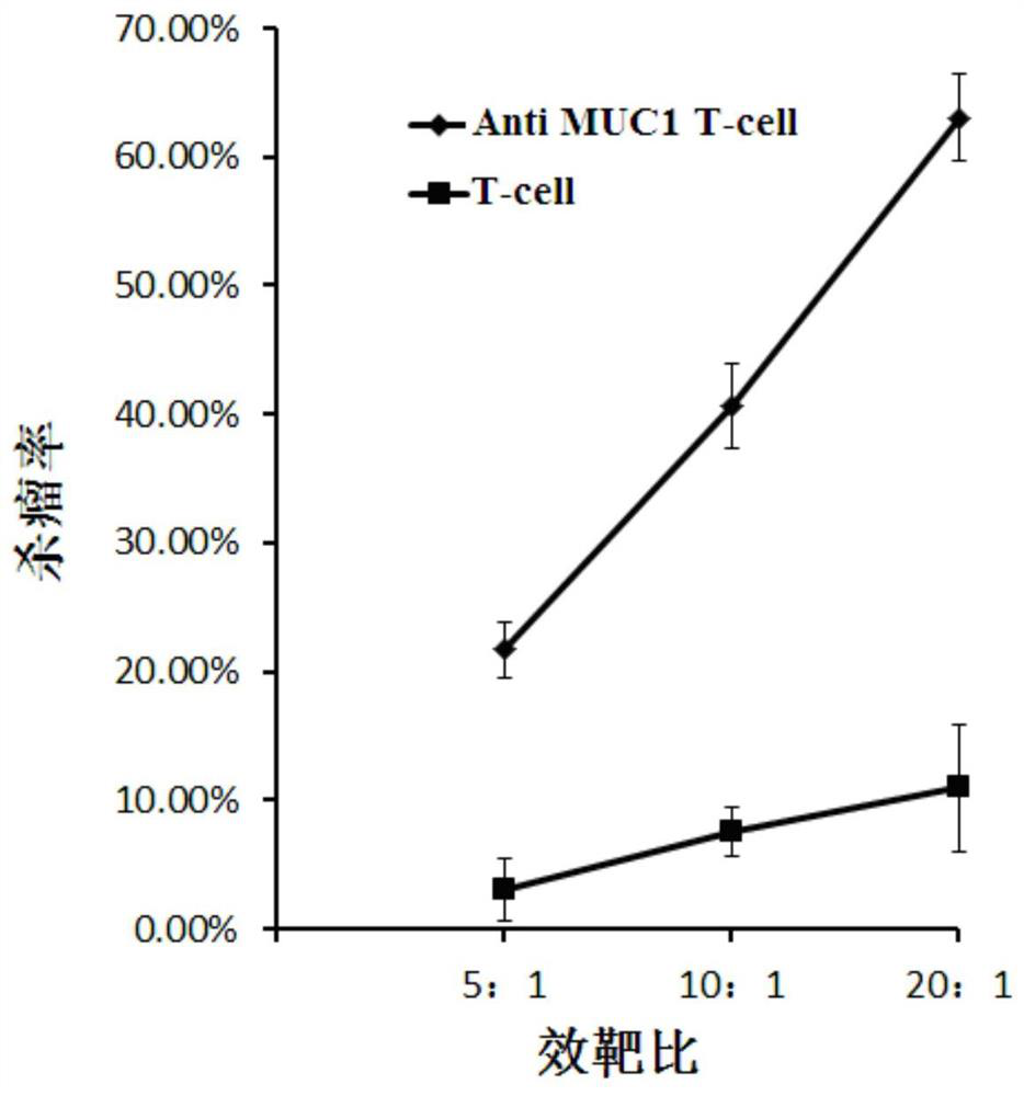 Anti MUC1 CAR-T cell and its preparation method and application