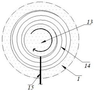 Centrifugal screener for synchronously collecting biomass particles with different particle sizes