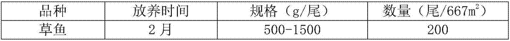 Method for increasing breeding yield and benefit of pond mainly for breeding grass carps