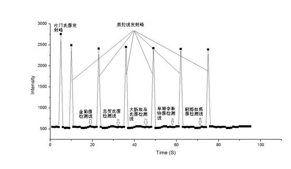 Salmonella immunochromatography test strip based on low-noise excitation type fluorescent mark