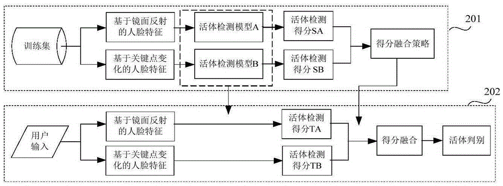 Face-identification-based living body determination method and equipment