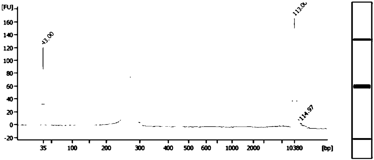 Gene library constructing method for hereditary gastrointestinal tumor and kit