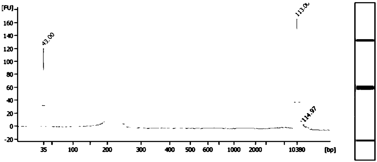 Gene library constructing method for hereditary gastrointestinal tumor and kit