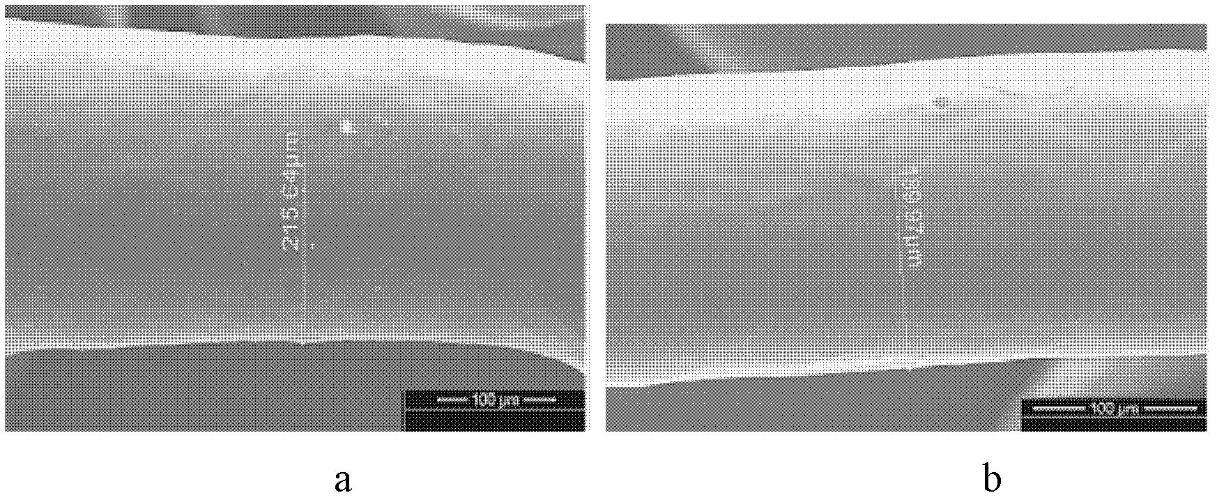 Bioabsorbable polymer scaffold matrix as well as preparation method and application thereof