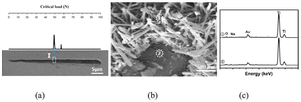 Preparation method of a 3D configuration high bonding strength sodium titanate nanofiber coating