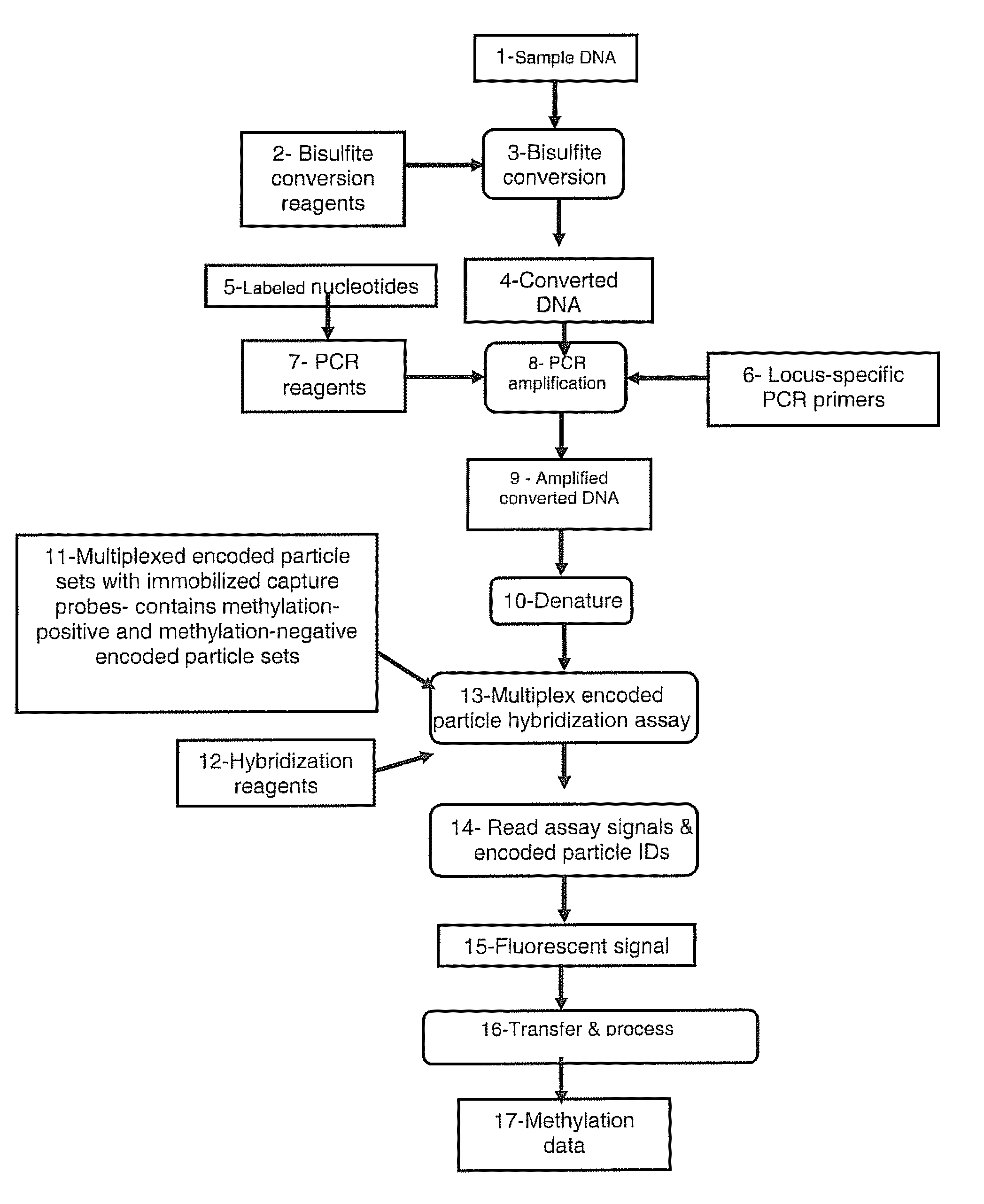 Methods for detecting DNA methylation using encoded particles