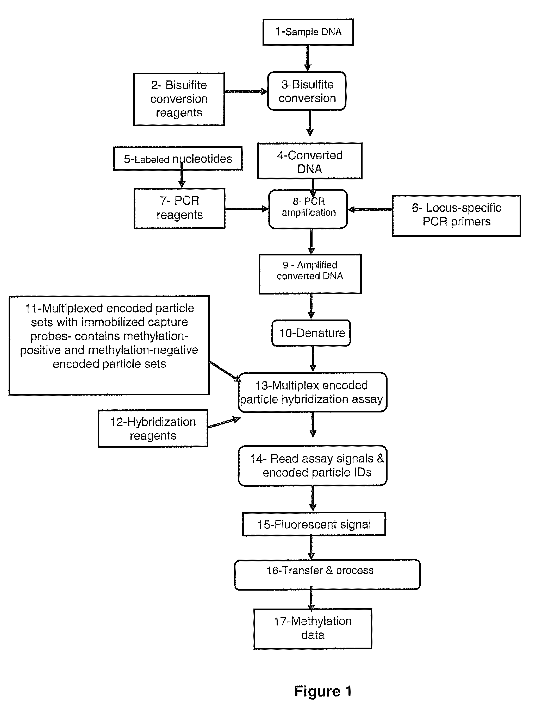 Methods for detecting DNA methylation using encoded particles