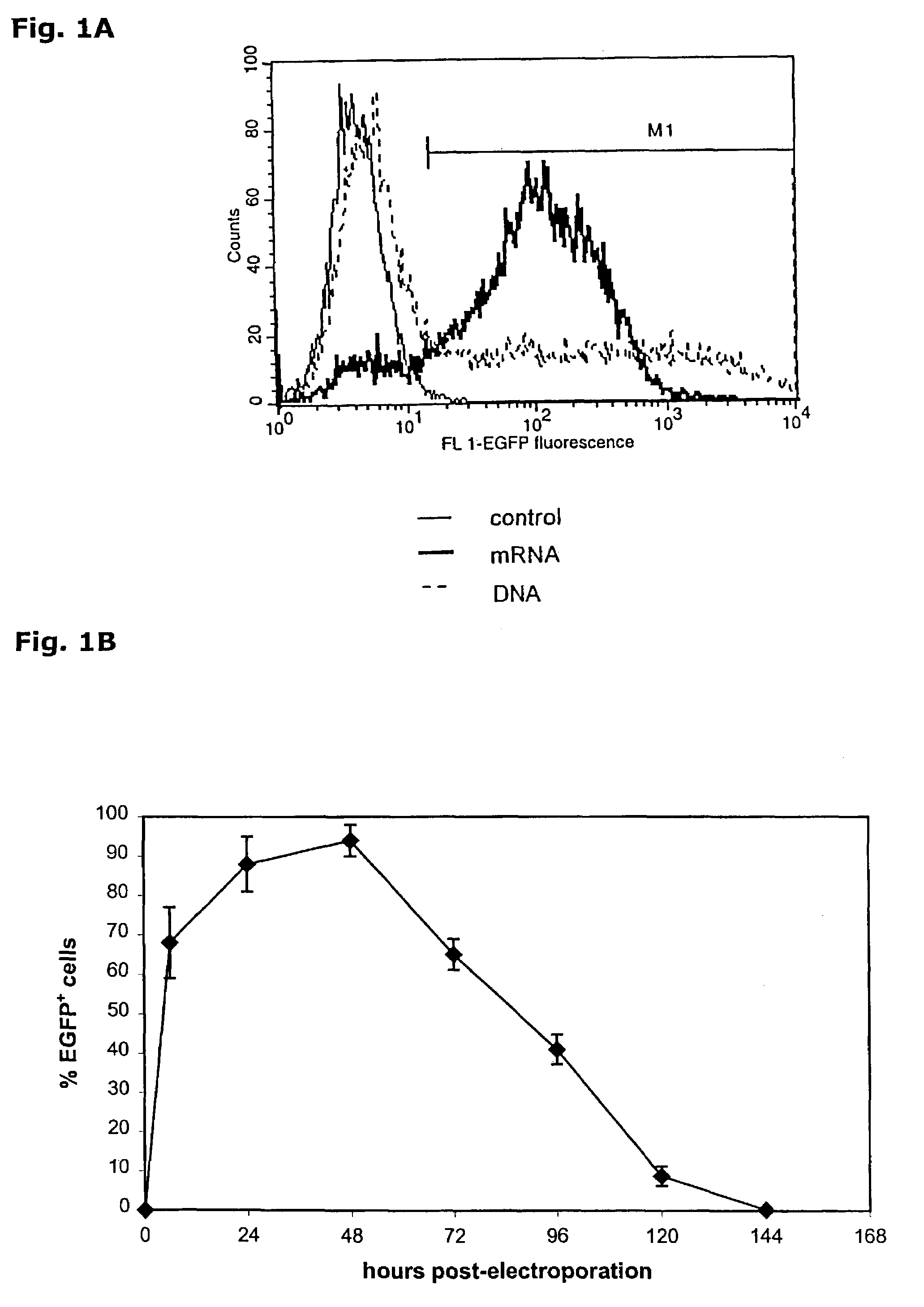 Transfection of eukaryontic cells with linear polynucleotides by electroporation