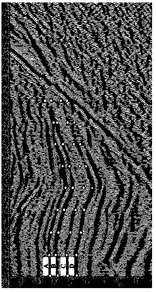 Horizon automatic interpretation method based on minimum seismic waveform unit classification