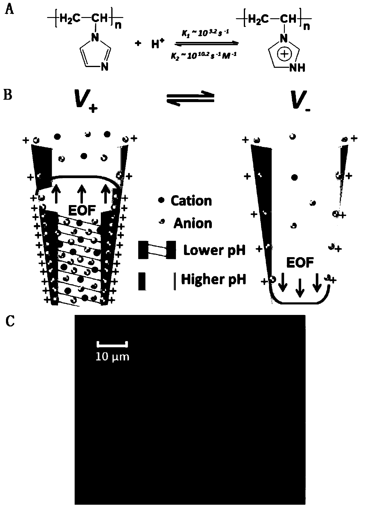 Preparation method and application of miniature pH sensor