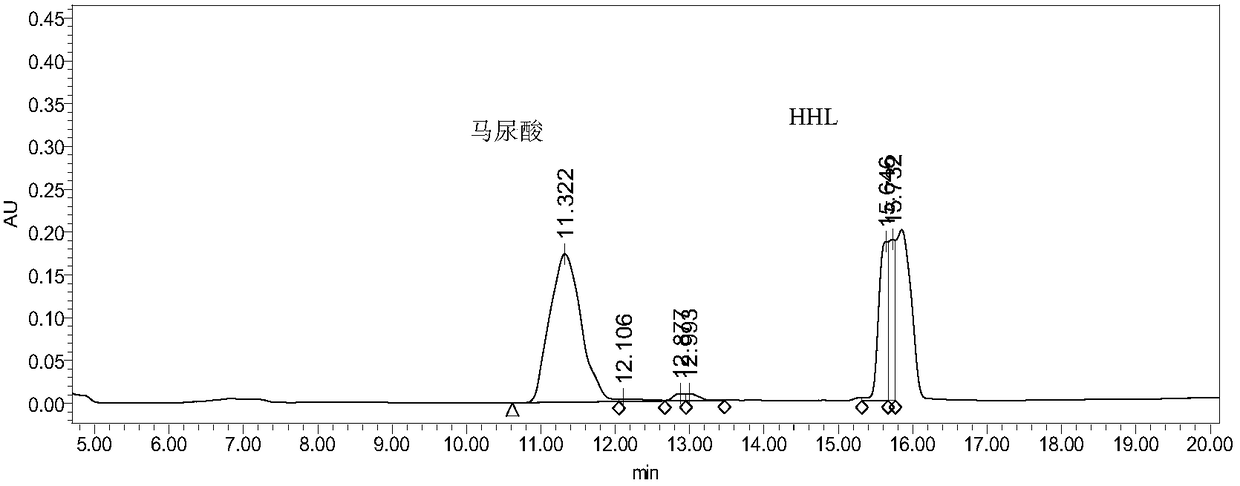 A method for extracting oligopeptide and oil from fly maggots