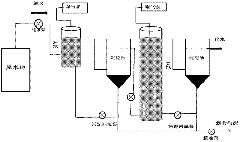 Method for reinforcing adsorption-biodegradation (AB) denitrification technology by use of heterotrophic nitrification-aerobic denitrification bacteria