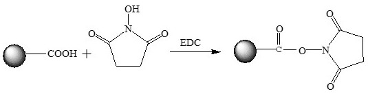 Functionally degradable medicine elution microsphere and preparation method thereof