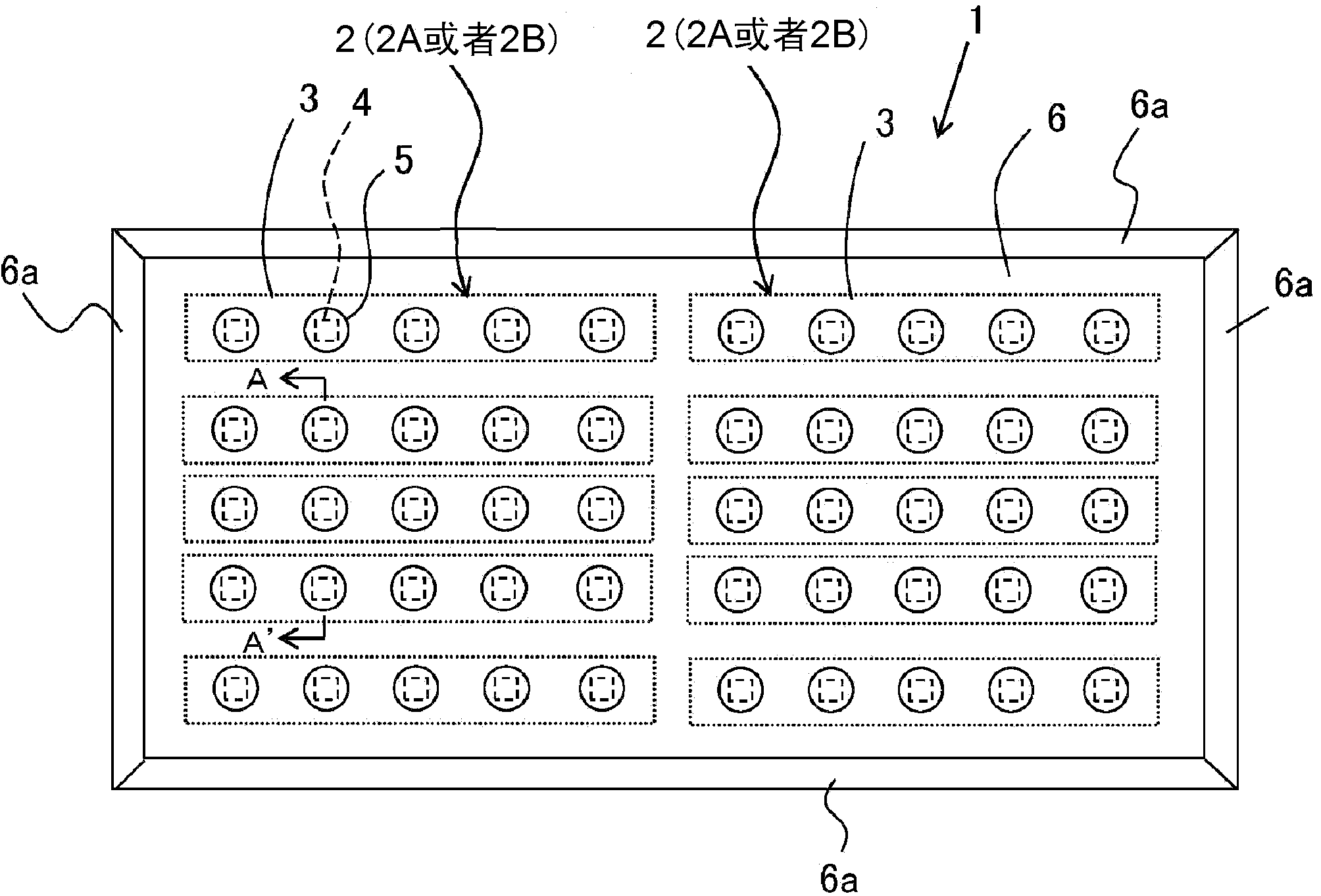 Light source apparatus and liquid crystal display apparatus