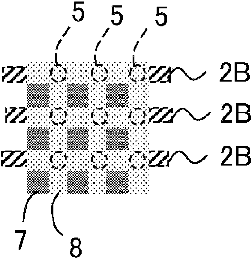 Light source apparatus and liquid crystal display apparatus