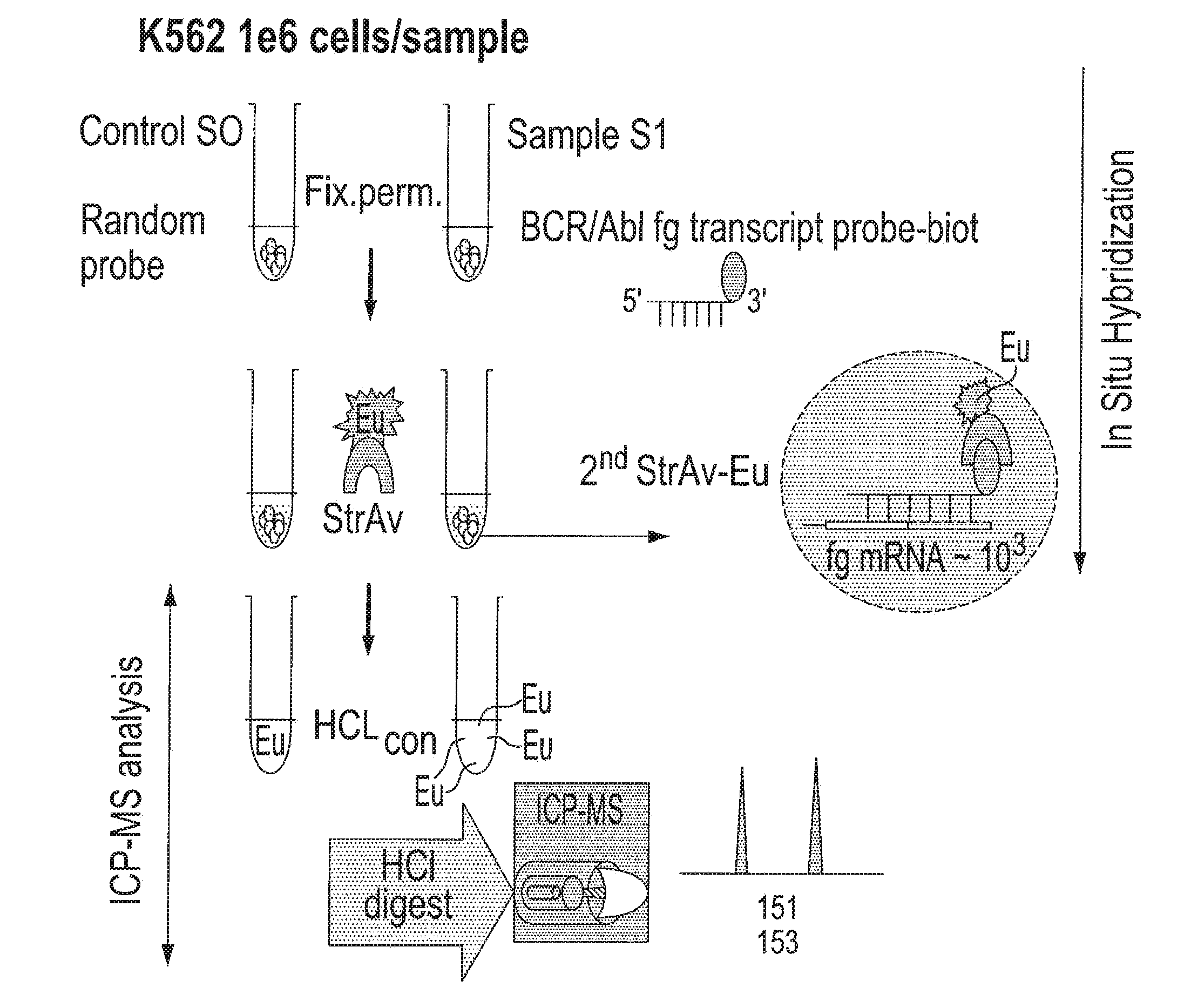 Methods of Using Inductively Coupled Plasma Mass Spectroscopy Systems for Analyzing a Cellular Sample