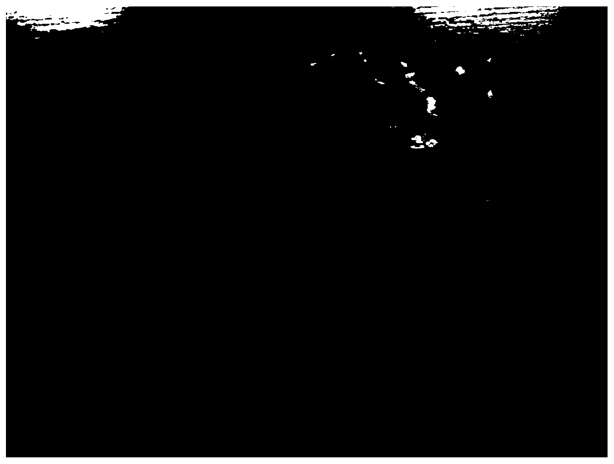 Ion sieve cathode for electrolytic cell used for extracting lithium from lithium-containing aqueous solution and method for producing same