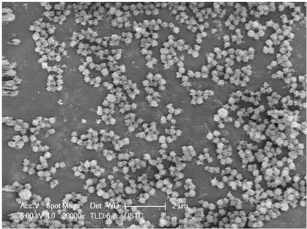 Method for preparing nano particles of camptothecin polymeric prodrug amphipathic molecules as well as product and application of nano particles