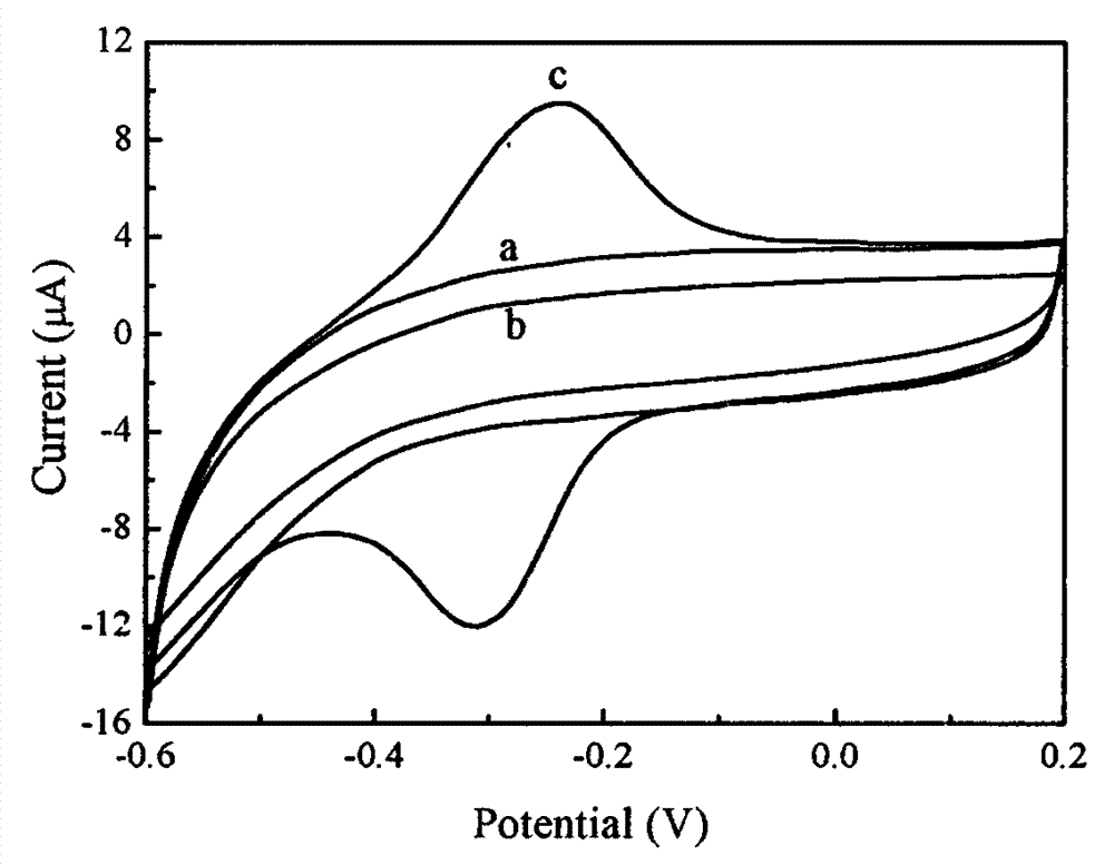 Preparation method of electrochemical bladder cancer DNA sensor