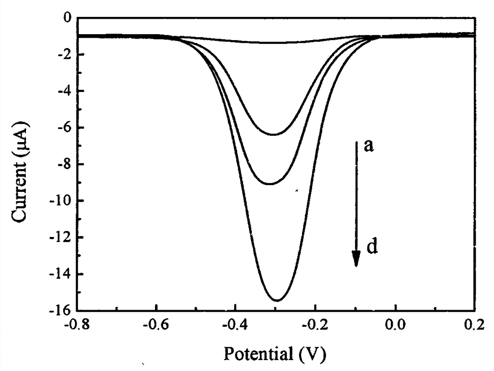 Preparation method of electrochemical bladder cancer DNA sensor