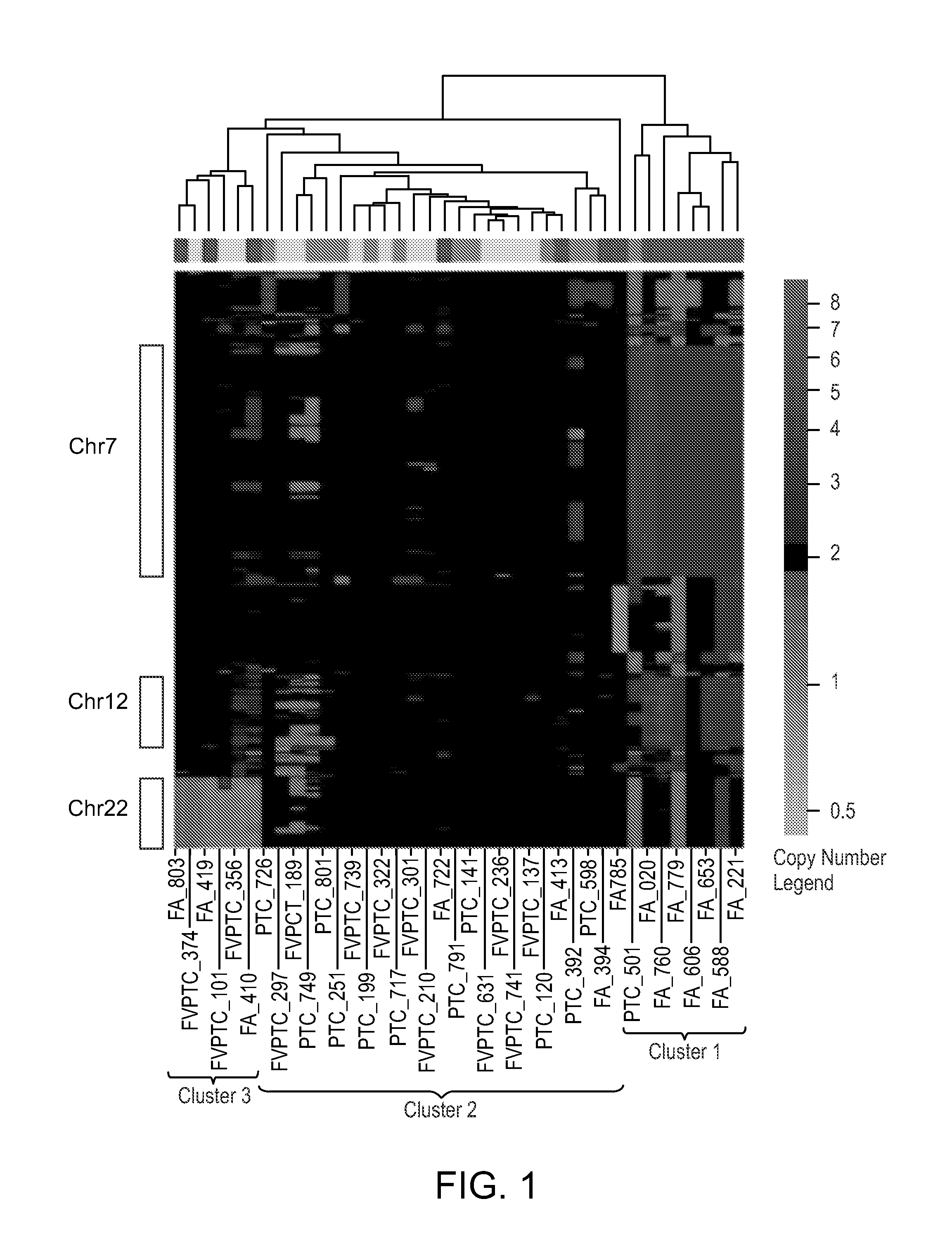 Compositions and methods for characterizing thyroid neoplasia