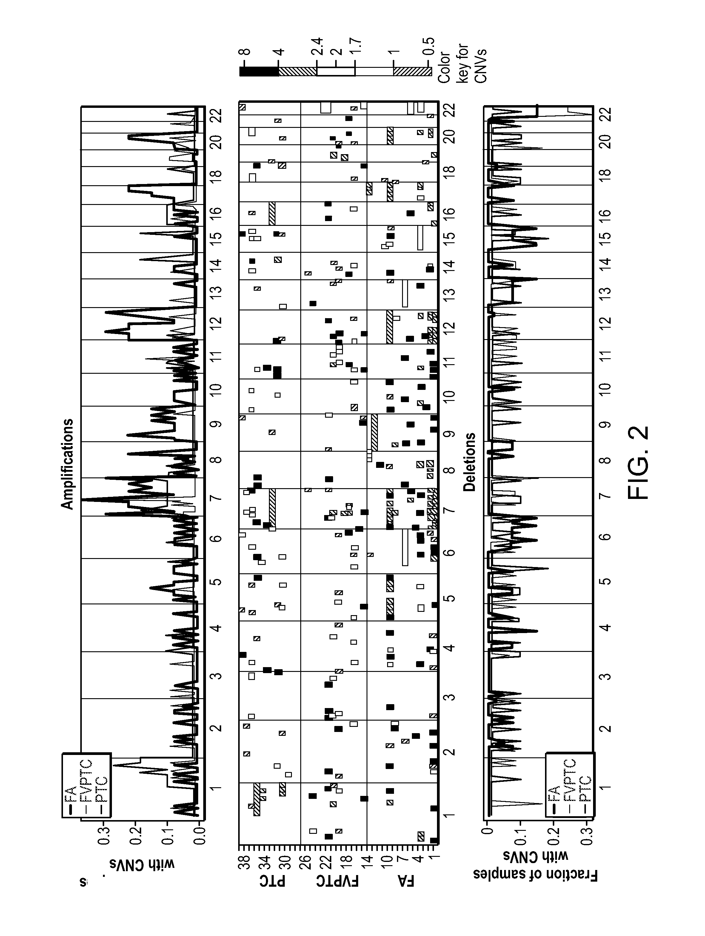 Compositions and methods for characterizing thyroid neoplasia