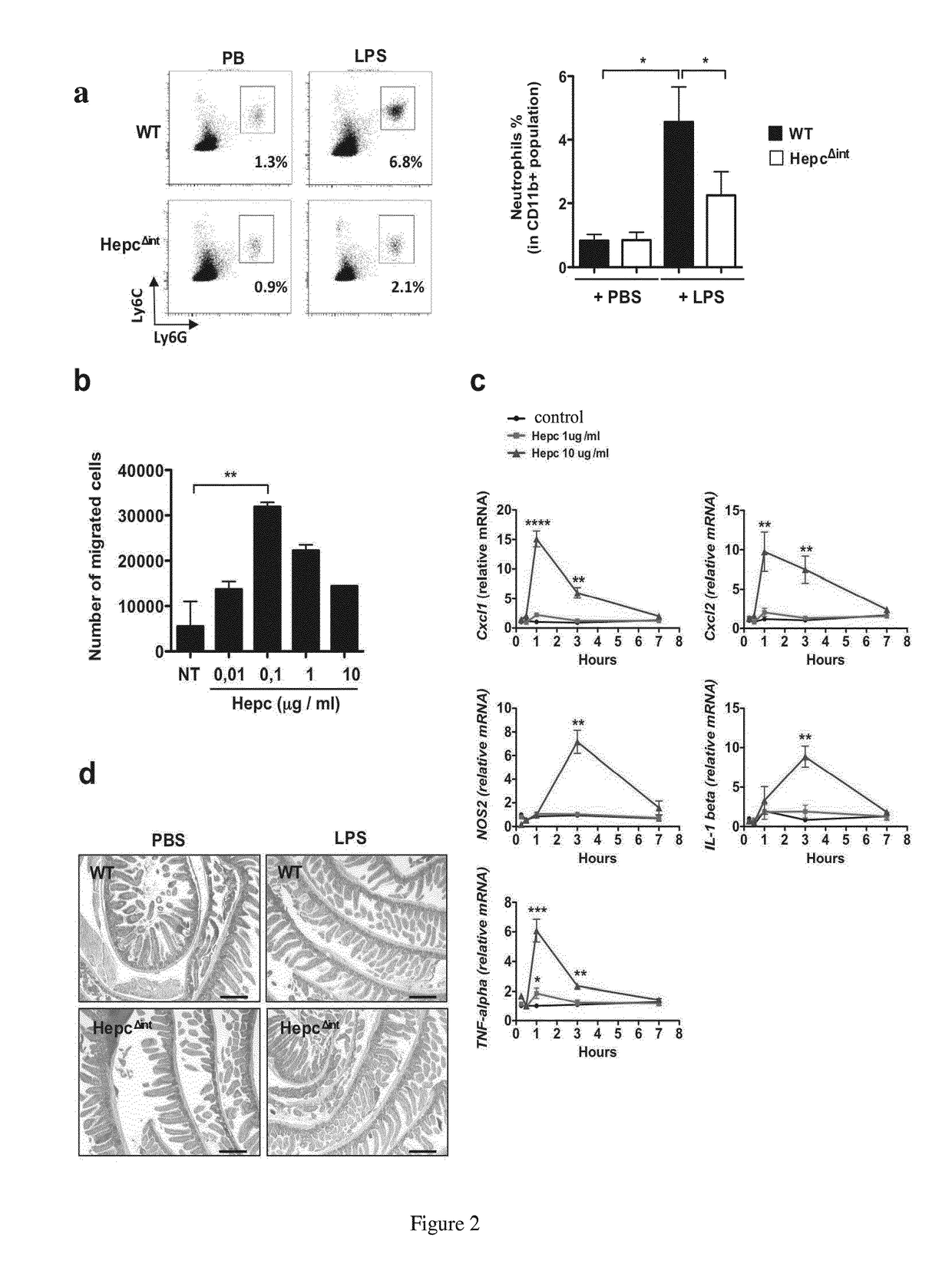 Hepcidin antagonists for use in the treatment of inflammation