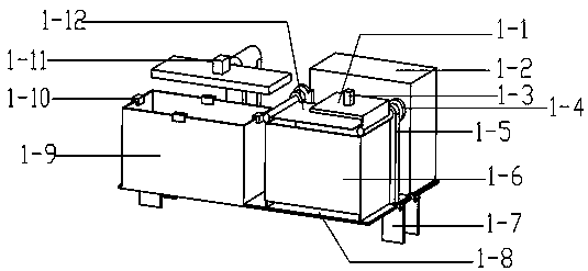 Ecological algae-removing chelydra serpentina aquaculture box capable of removing impurities automatically