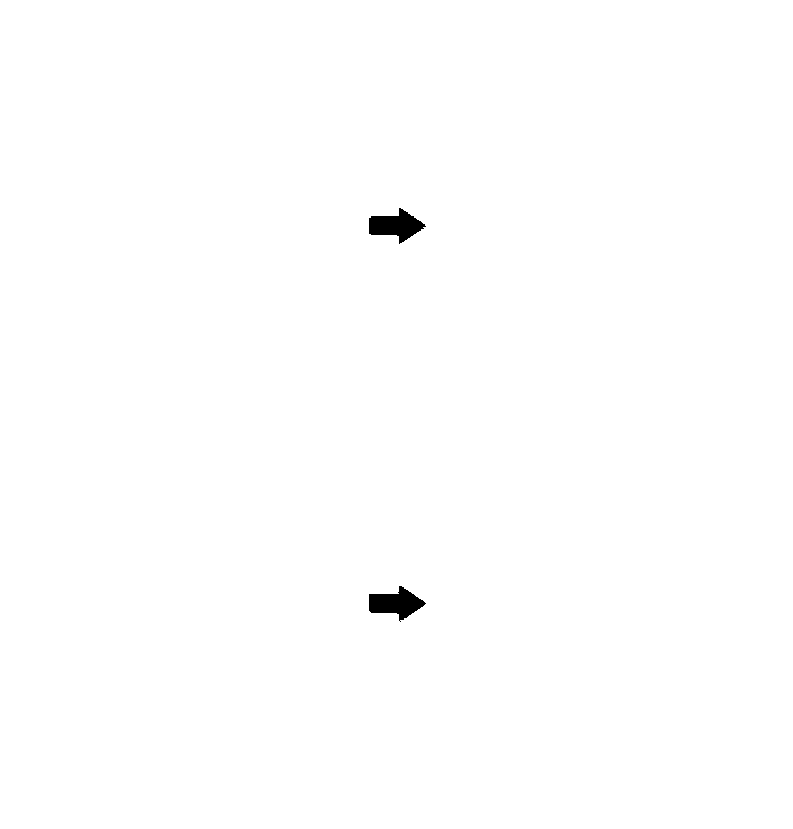 Method for managing access of multiple visitors to mobile terminal