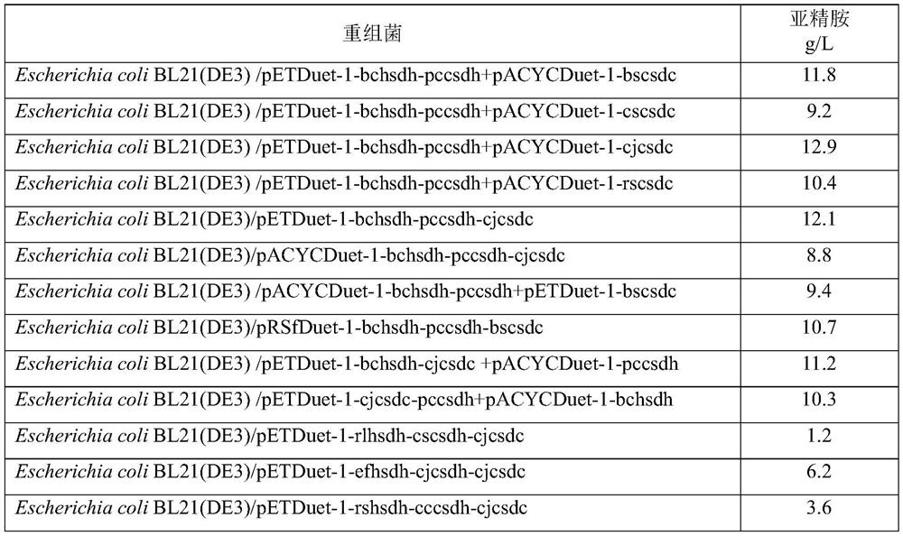 A kind of method for synthesizing spermidine by biological method