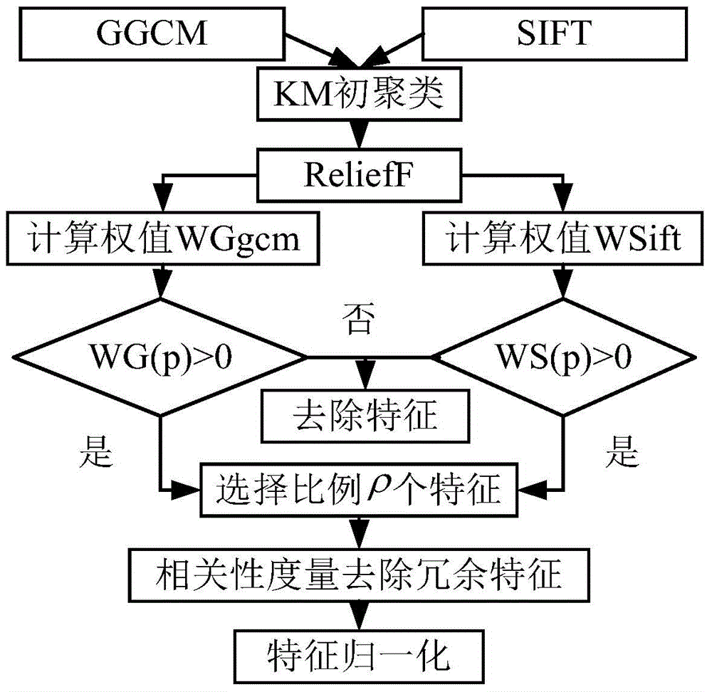 Texture image classification method based on BoF and multi-feature fusion