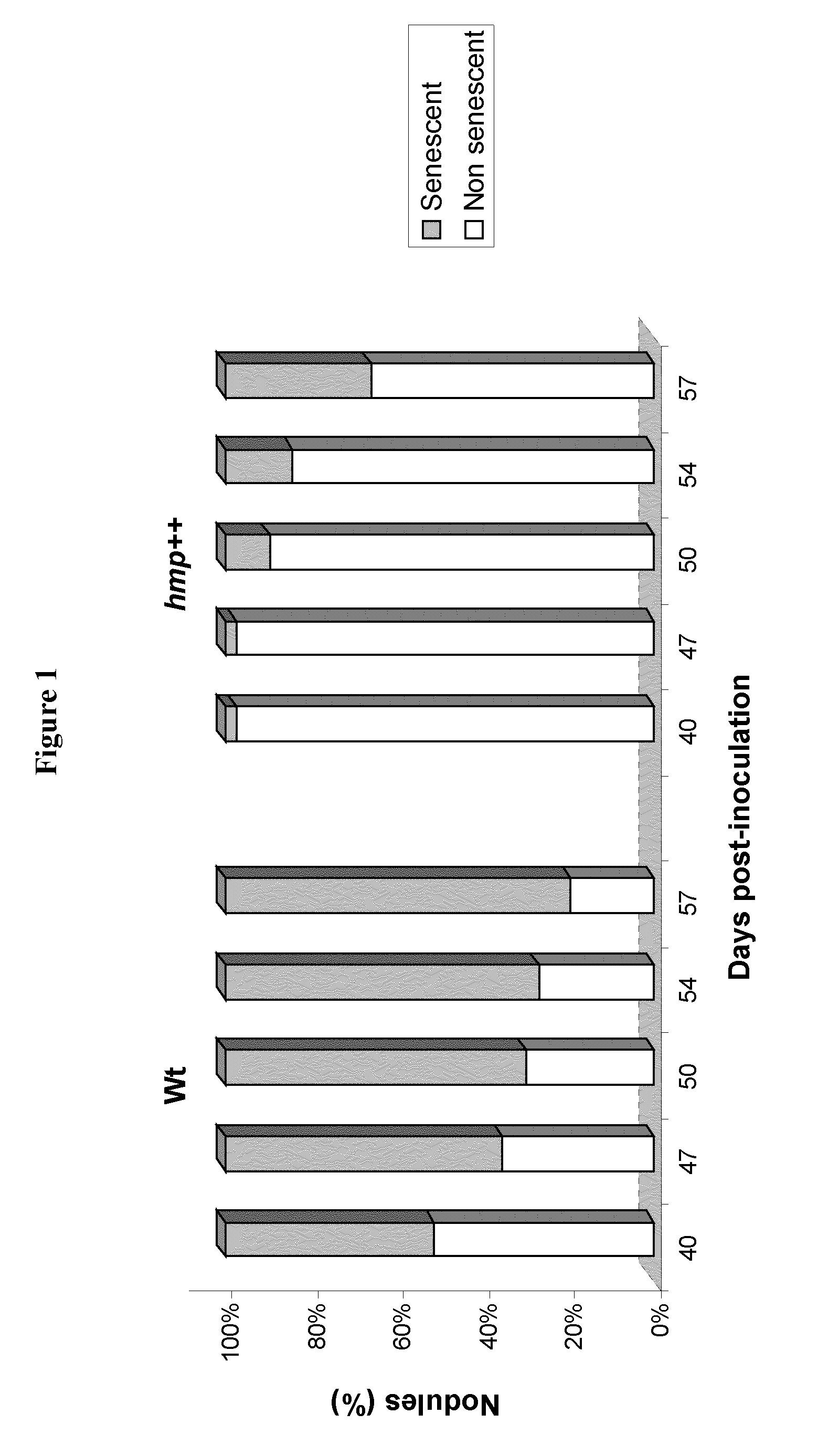 Method for increasing legume productivity by cultivating a plant with an associated rhizobium overexpressing a flavohemoglobin protein