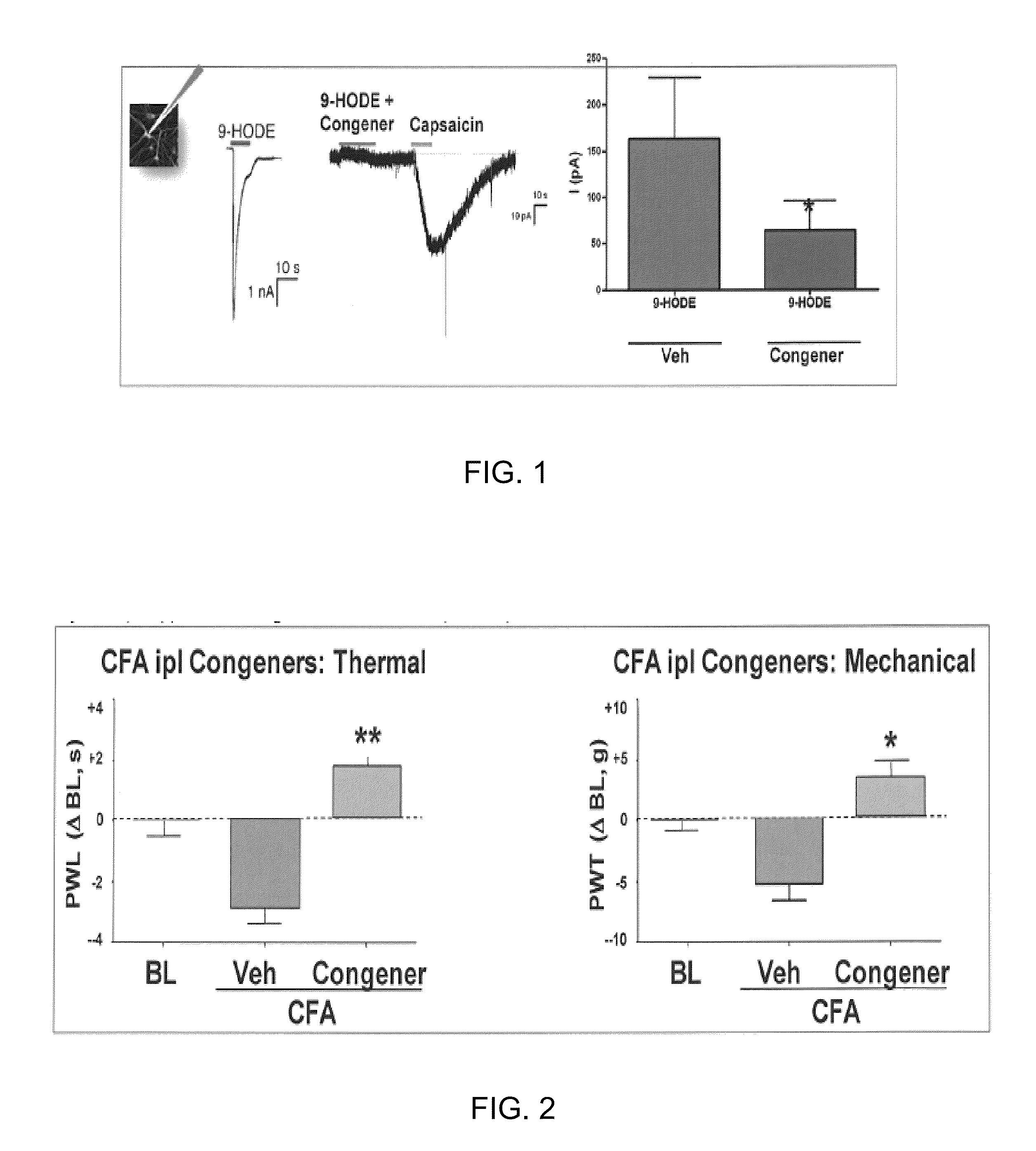 Compositions of matter that reduce pain, shock, and inflammation by blocking linoleic acid metabolites and uses thereof