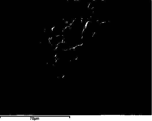 Zero-valent iron-iron copper microelectrolysis filler and preparation method thereof