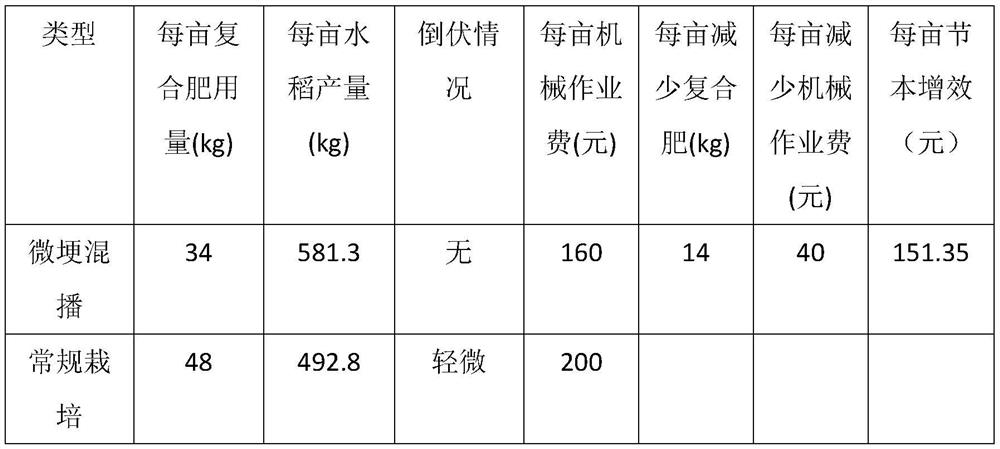 Rice micro-ridge mixed sowing cultivation method