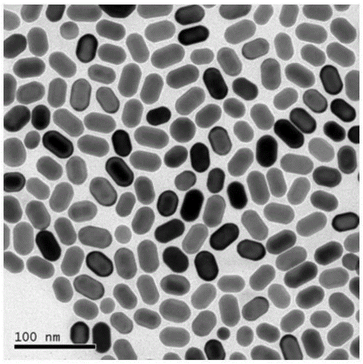 Determination method for geometrical shape of rod-like nano-particle