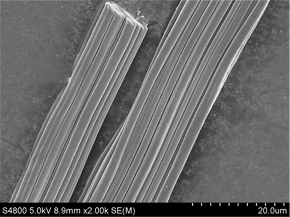 Protein/cellulose fiber preparation method based on cellulase activation treatment