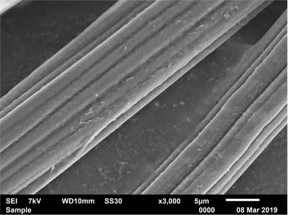 Protein/cellulose fiber preparation method based on cellulase activation treatment