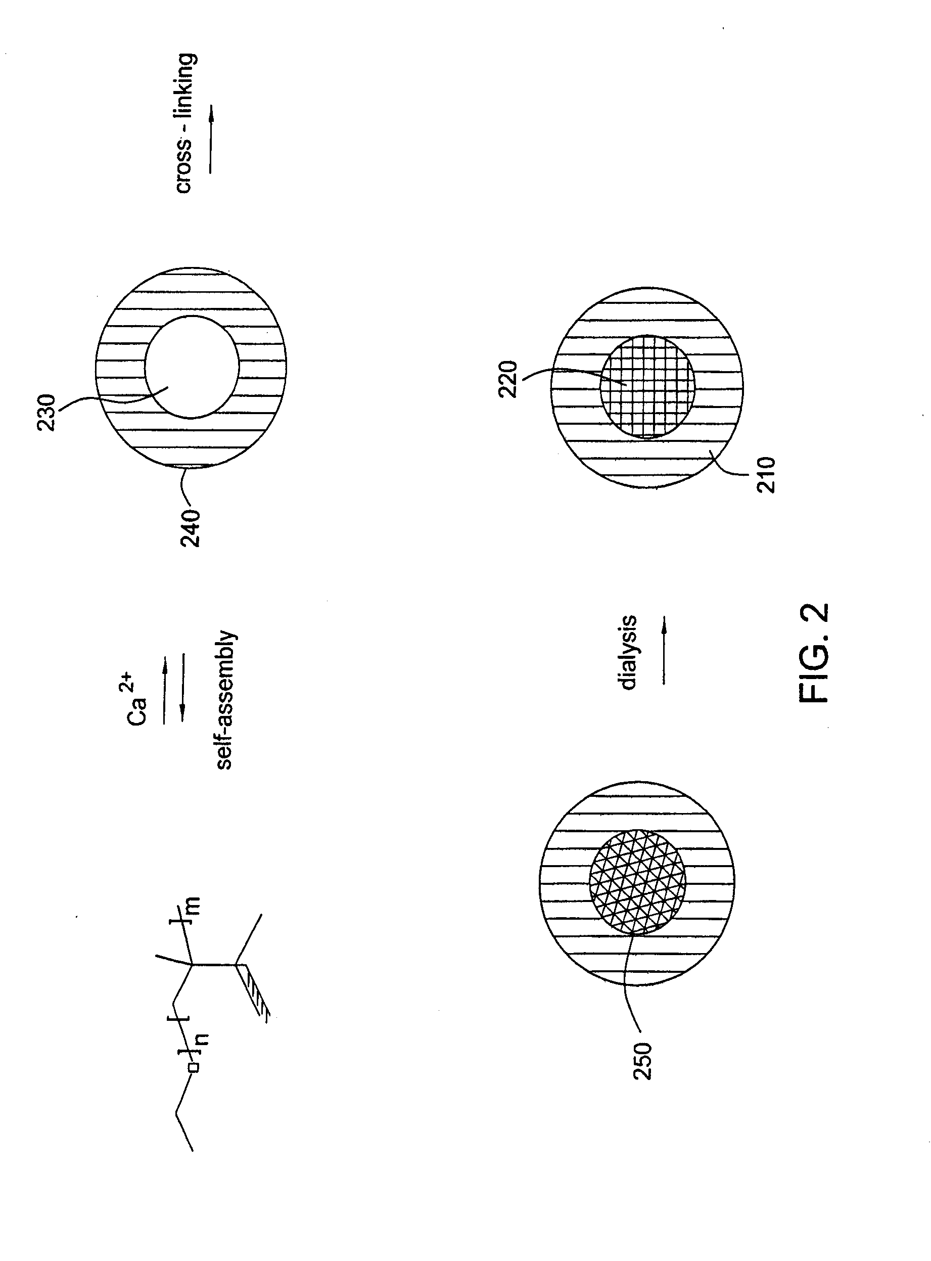 Cross-linked ionic core micelles